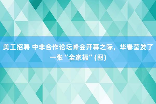 美工招聘 中非合作论坛峰会开幕之际，华春莹发了一张“全家福”(图)