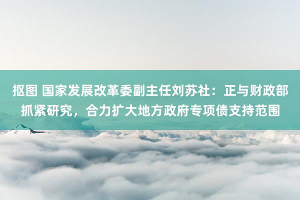 抠图 国家发展改革委副主任刘苏社：正与财政部抓紧研究，合力扩大地方政府专项债支持范围