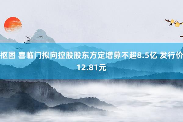 抠图 喜临门拟向控股股东方定增募不超8.5亿 发行价12.81元